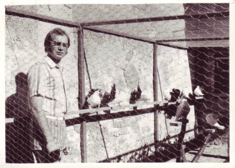 Historie Klubu chovatelu strukturovych holubu 14