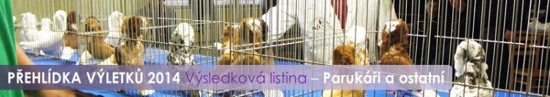 vyletky-vysledky-2014-paruky-ostatni.png