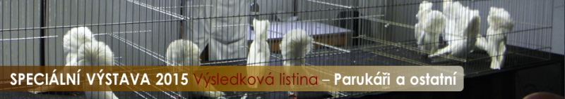 specialni-vystava-2015-paruky.png