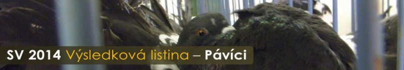 sv-2014-vysledky-pavici.jpg